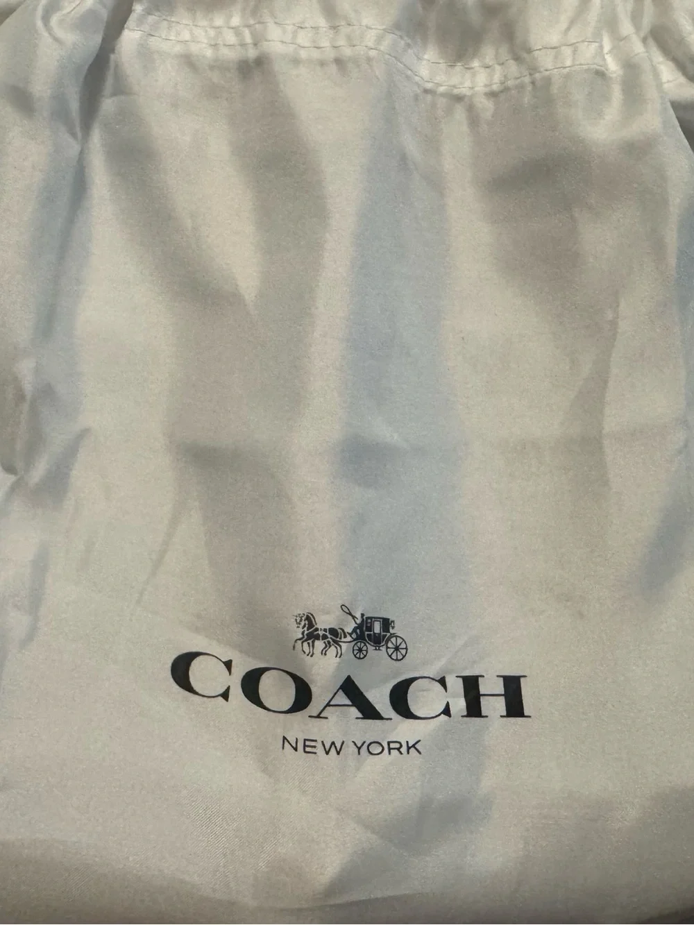 Coach Hampton’s Hobo Green Women’s Shoulder Bag with Gold Hardware